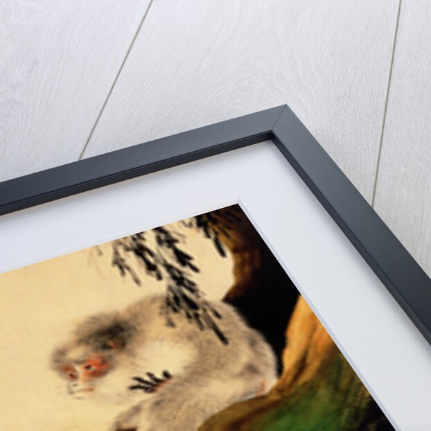Gibbon seated on a rock with rainbow in foreground by Shibata Zeshin