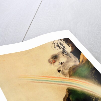 Gibbon seated on a rock with rainbow in foreground by Shibata Zeshin