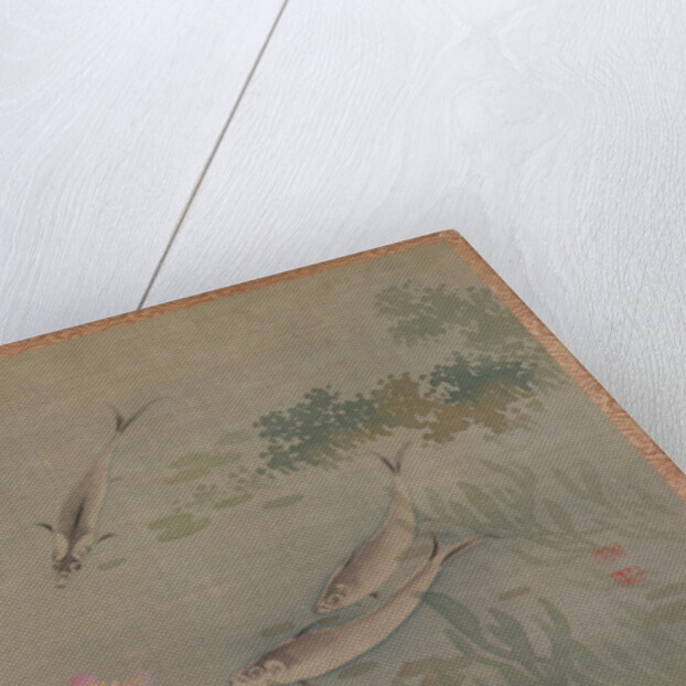 Fish, 1851 by Tsubaki Chinzan