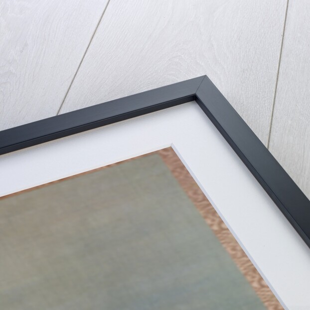 Flying Ducks, 1851 by Tsubaki Chinzan