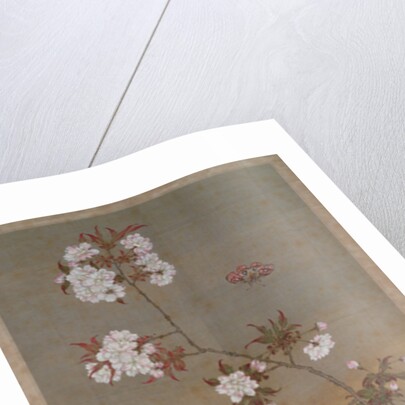 Peony, iris, cherry blossom and a butterfly, 1828 by Abe Kan Torin