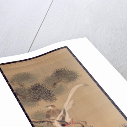 Long-tailed birds in pine tree, c.1800 by Ariwara Baikei