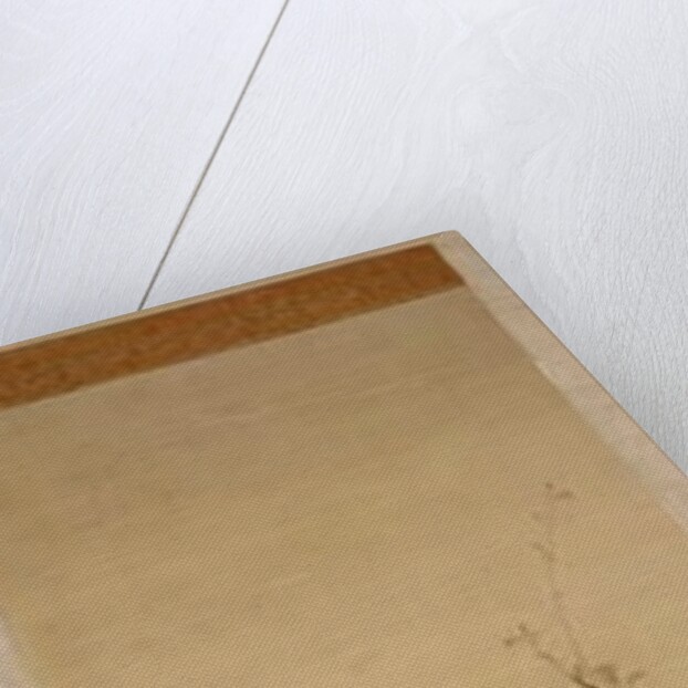 Sparrows and morning glory by Japanese School