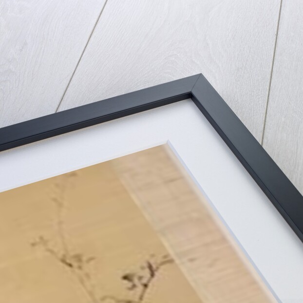 Sparrows and morning glory by Japanese School