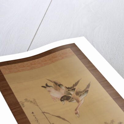 Ducks, flowers and grasses, c.1800-22 by Gentai Sanjin