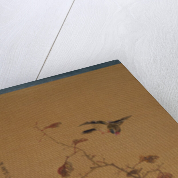 Birds, flowers and trees, c.1800-22 by Gentai Sanjin