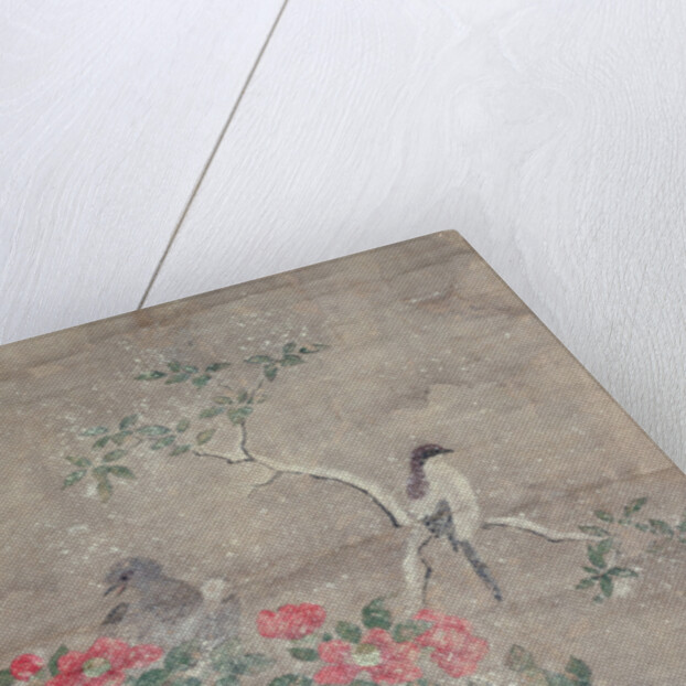 Birds and camelia in snow, c.1700 by Ogawa Haritsu