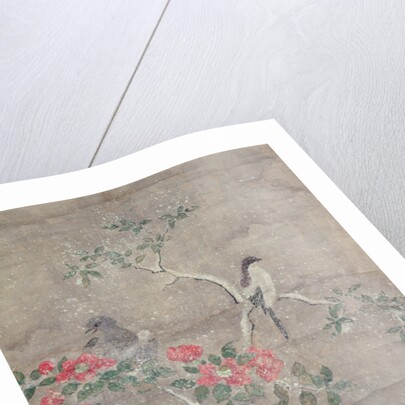 Birds and camelia in snow, c.1700 by Ogawa Haritsu