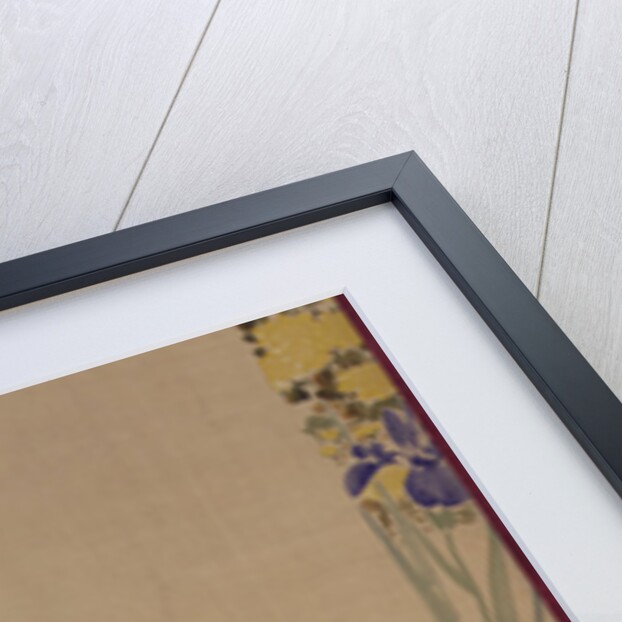 Cherry blossoms with painted mount, 1855 by Japanese School