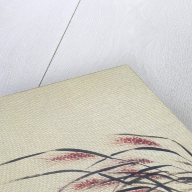 Ears of rice and cricket by Shibata Zeshin