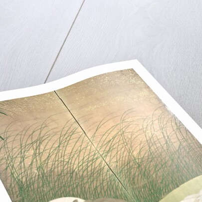 Hares and autumn grasses, c.1700 by Japanese School