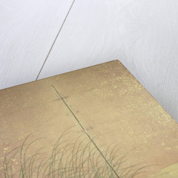 Hares and autumn grasses, c.1700 by Japanese School