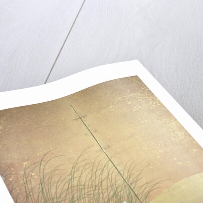 Hares and autumn grasses, c.1700 by Japanese School