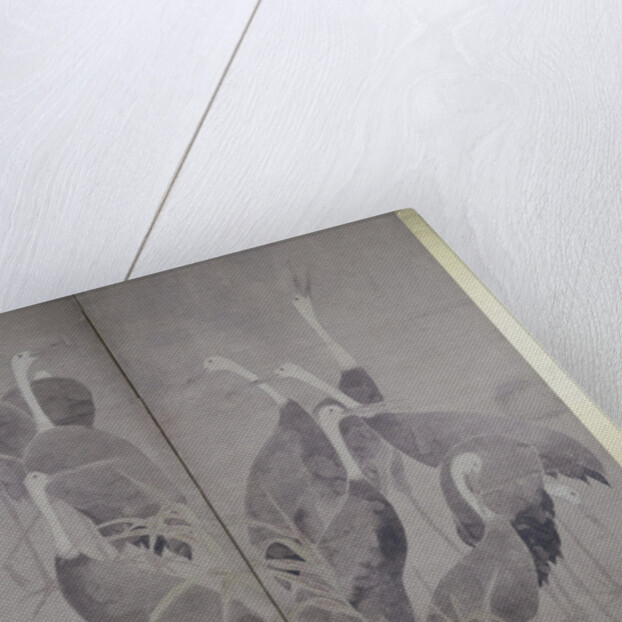 Eleven female cranes standing in dry reed bed, c.1700-50 by Ogata Korin