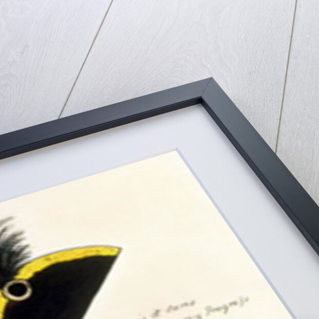 A Stoppage to a Stride over the Globe, 1803 by English School