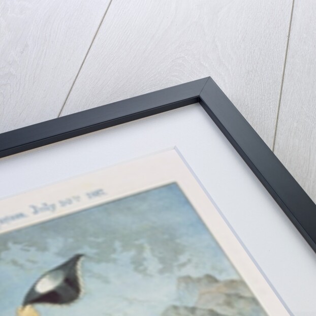 Riding the Buck Jumpers, Lord Salisbury on the Black Horse, Gladstone by Tom Merry