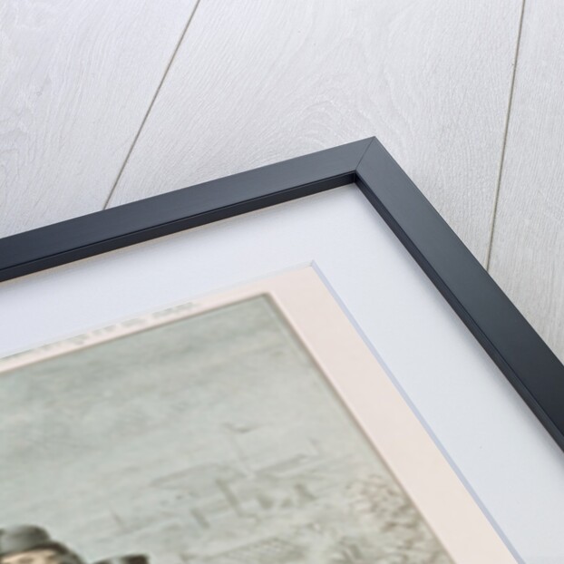 On the Switchback, At the Irish Exhibition, Go Ahead, but Safe by Tom Merry