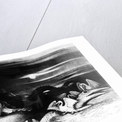 Sea Monsters Fight by English School