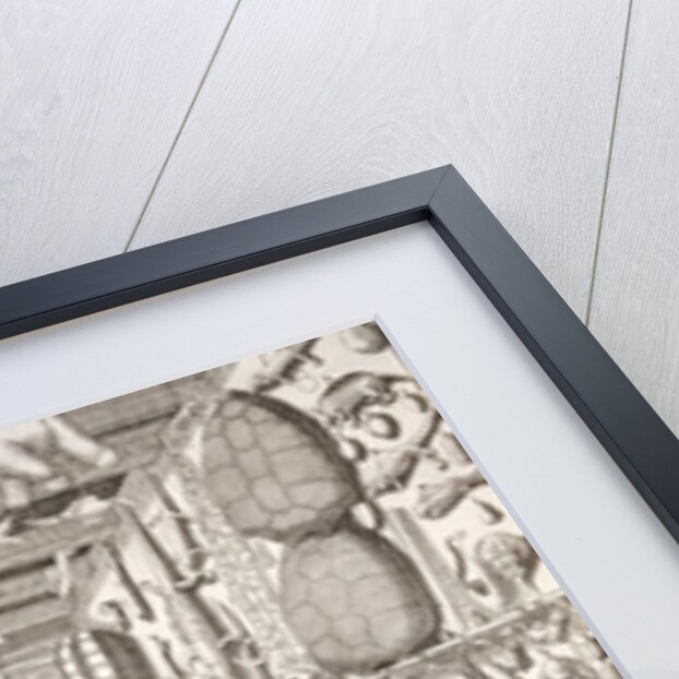 Museum of Ole Worm, Leiden, 1655 by G. Wingendorp