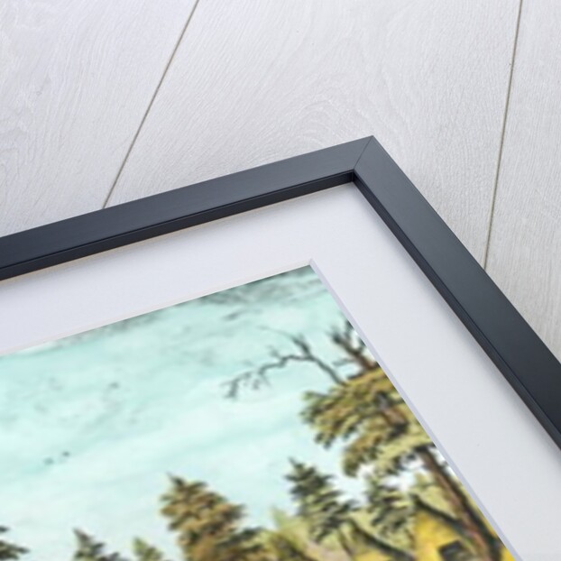 Native American Shaman by Dutch School