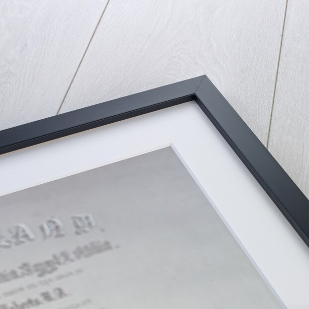 Frontispiece to 'The Holy Land' by David Roberts