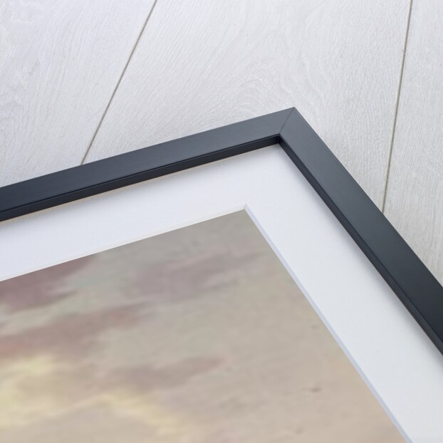 The Obelisque to the victories of Roumaintzof and the Statue of Souvrorofs at St.Petersburg by Benjamin Patersson