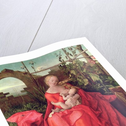 Virgin and Child 'Madonna with the Iris', 1508 by Albrecht Durer or Duerer