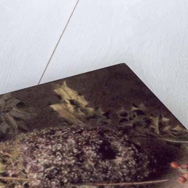 Long Tailed Tits' Nest by William Henry Hunt