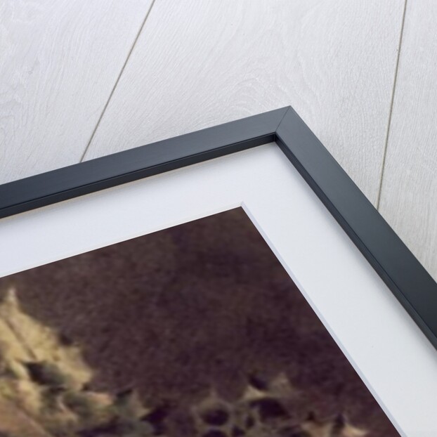 Long Tailed Tits' Nest by William Henry Hunt