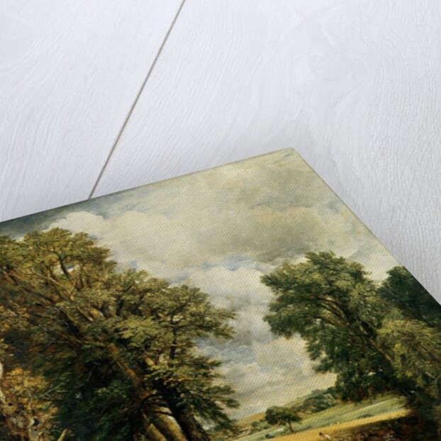 The Cornfield, 1826 by John Constable