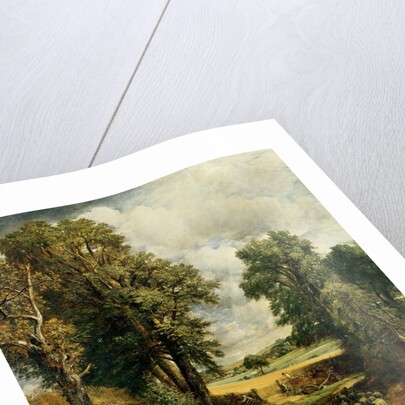 The Cornfield, 1826 by John Constable