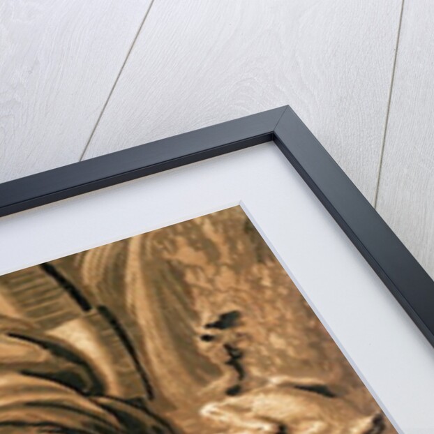 Diogenes by Parmigianino