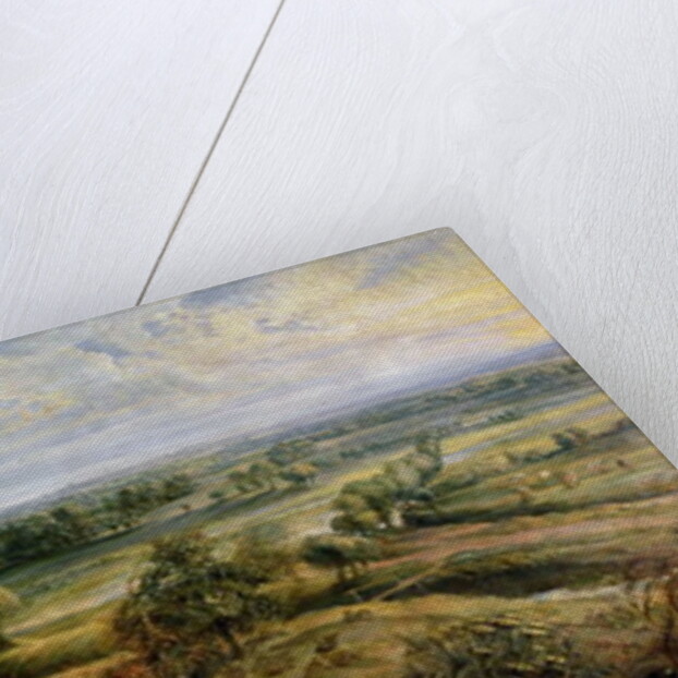 An Autumn Landscape with a view of Het Steen in the Early Morning, c.1636 by Peter Paul Rubens