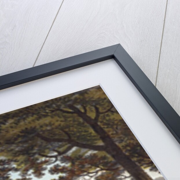 Water at Wentworth, Yorkshire, 1802 by English School