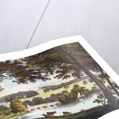 Water at Wentworth, Yorkshire, 1802 by English School