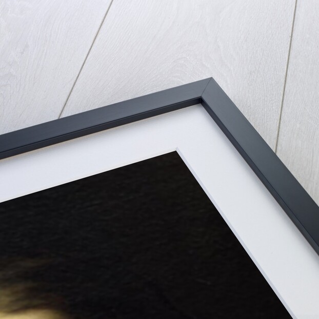 The Supper at Emmaus, 1601 by Michelangelo Merisi da Caravaggio