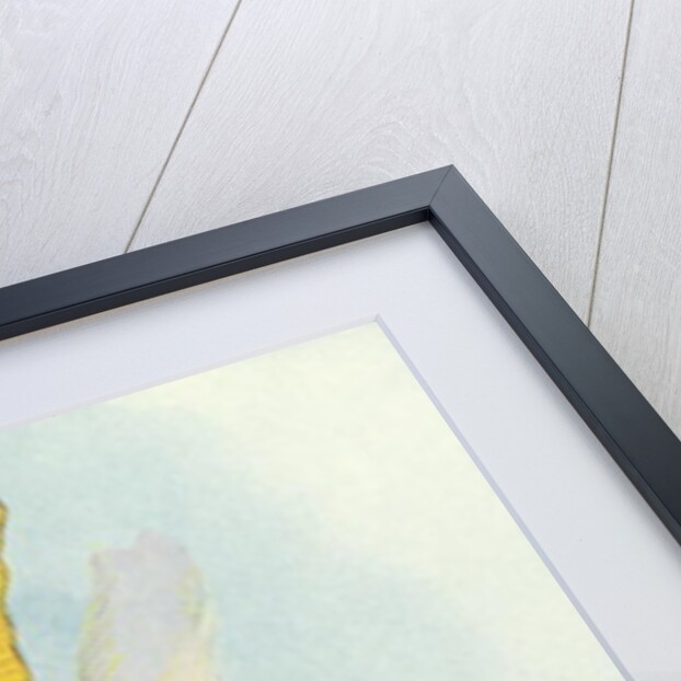 There Goes Bill! by John Tenniel