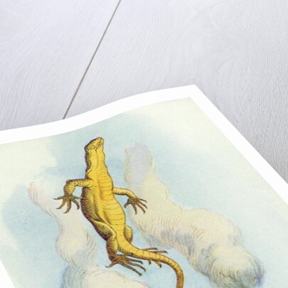 There Goes Bill! by John Tenniel