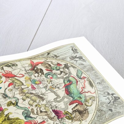 Map of the Southern Hemisphere by Andreas Cellarius