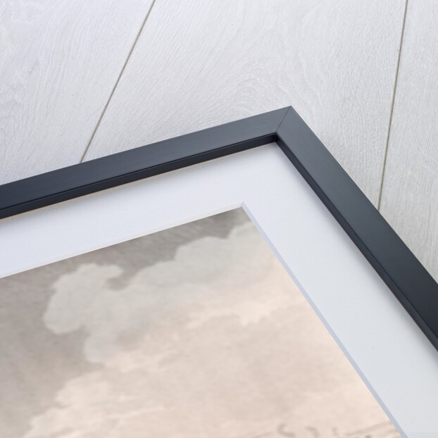 Mounting Guard at St. James's Park by T. & Pugin A.C. Rowlandson