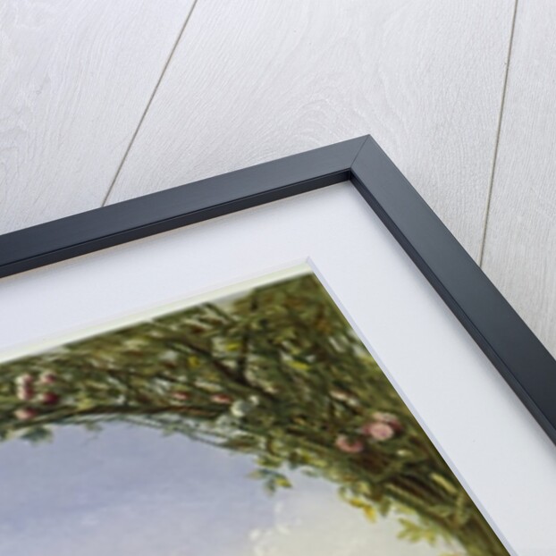 The Trellis Window, Trentham Hall Gardens by E. Adveno Brooke