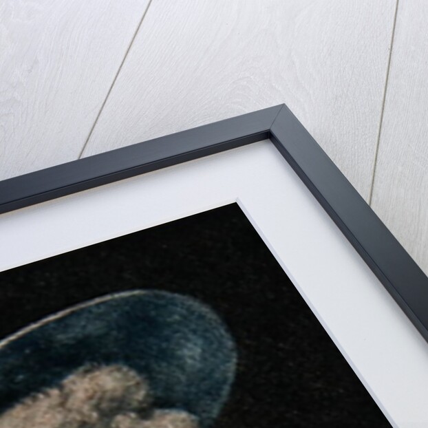 The Honourable Miss Binghamengraved by Francesco Bartolozzi published by E. M. Diemar, 1786 by Joshua (after) Reynolds