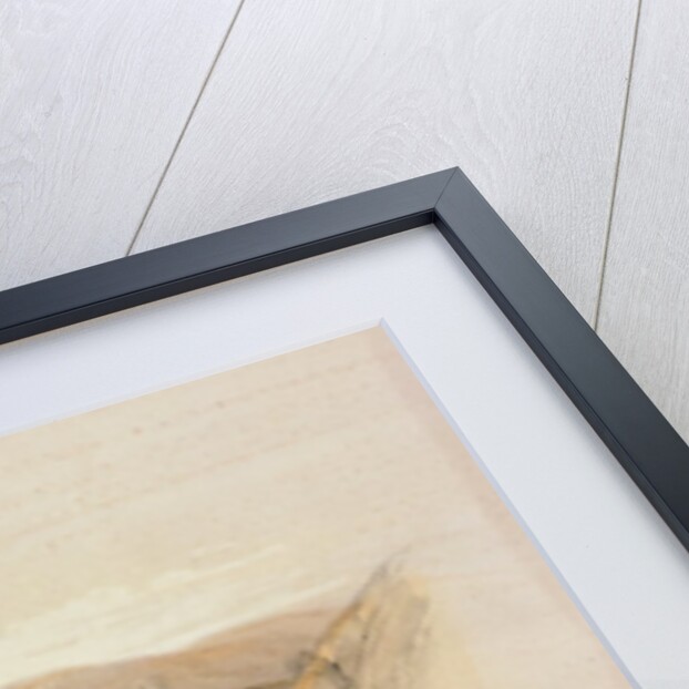 Ruins of Semua, 16th March 1839 from Volume 1 of 'The Holy Land'; engraved by Louis Haghe published in London, 1842 by David (after) Roberts