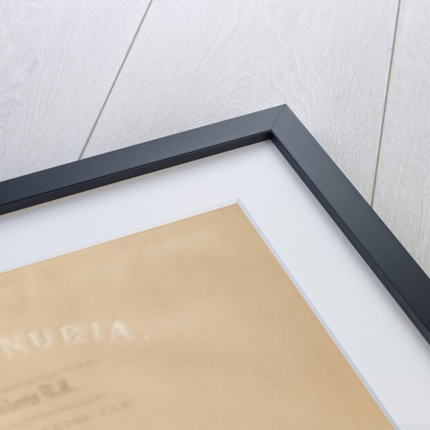 The Entrance to the Great Temple of Aboo Simble, Nubia, titlepage of Volume I of 'Egypt and Nubia' by David Roberts