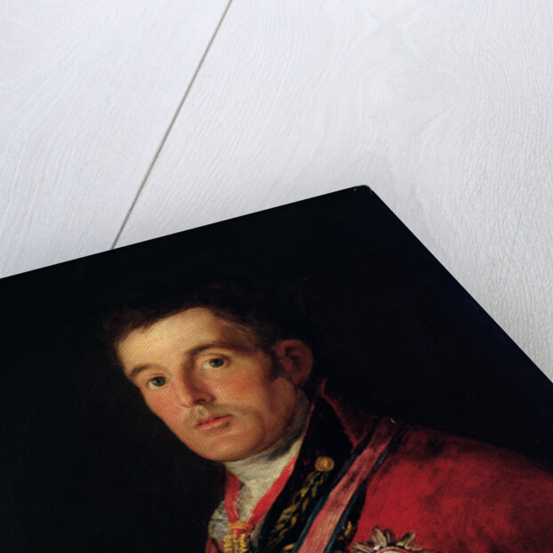 The Duke of Wellington 1812-14 by Francisco Jose de Goya y Lucientes