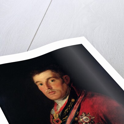 The Duke of Wellington 1812-14 by Francisco Jose de Goya y Lucientes