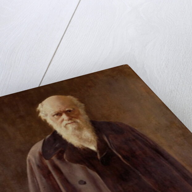 Portrait of Charles Darwin, 1883 by John Collier