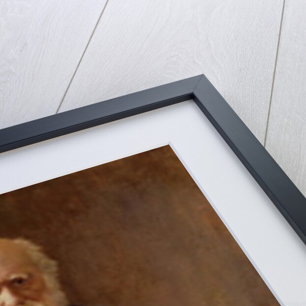 Portrait of Charles Darwin, 1883 by John Collier