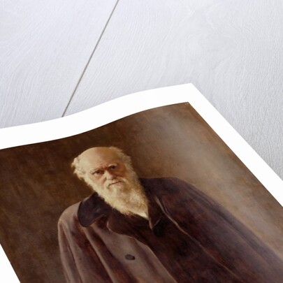 Portrait of Charles Darwin, 1883 by John Collier