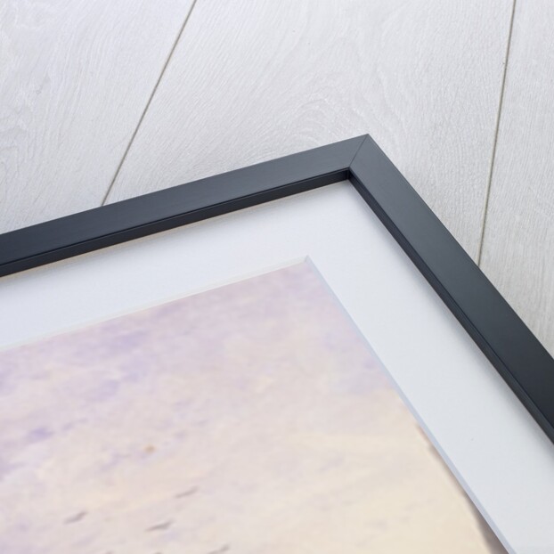 View of Fludyer Street, looking towards St. James's Park, 1859 by Thomas Hosmer Shepherd